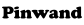 Pinwand